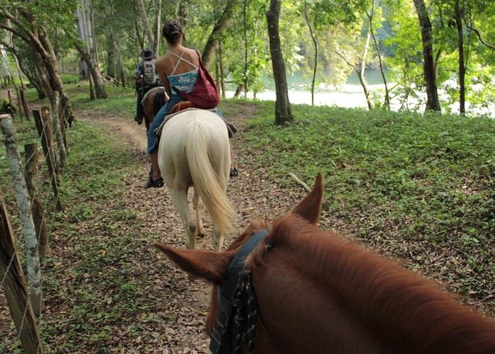 Horseback Ride to Xunantunich Maya Ruins from San Ignacio